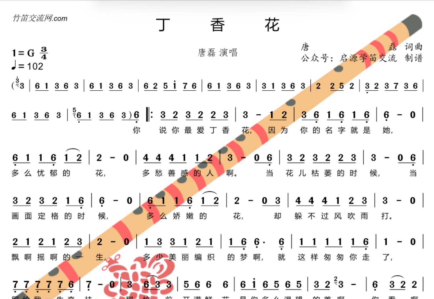 《丁香花》动态伴奏