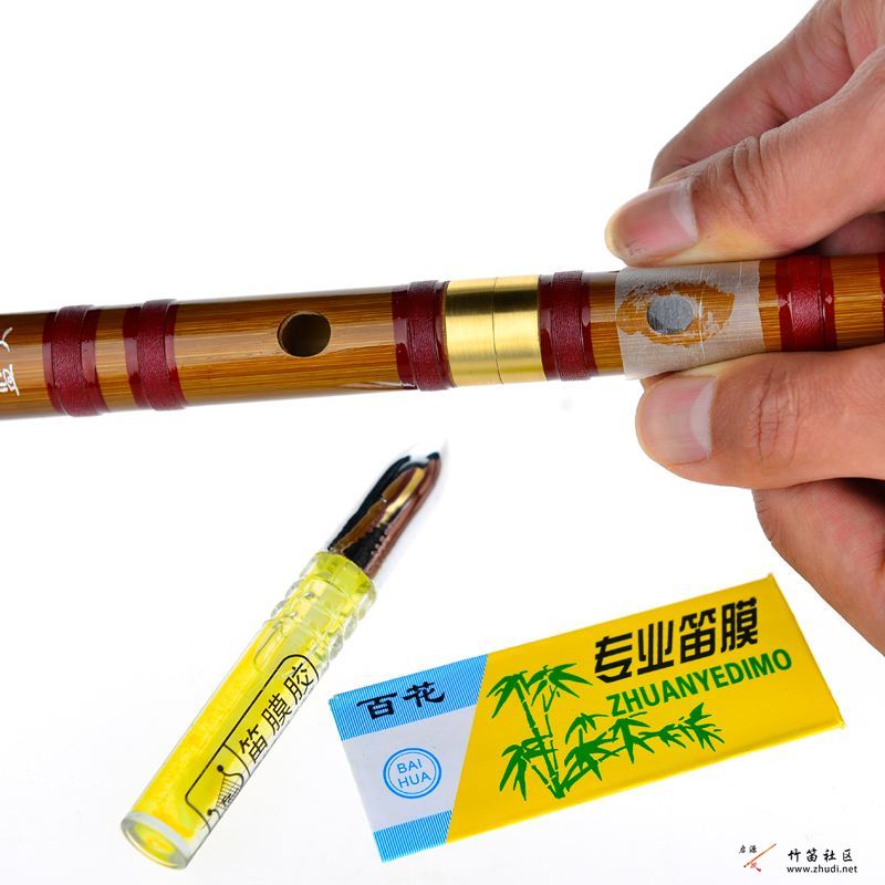 笛膜的作用插图40926380_1709515963.jpg1